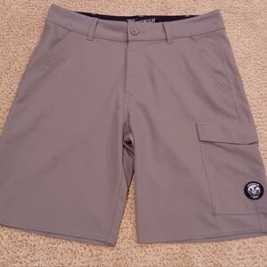 Vans Vanphipian Men's Light Gray Cargo Shorts